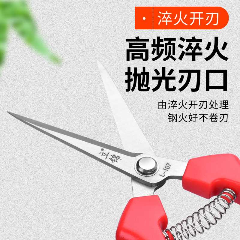 不锈钢摘果剪水果剪刀采果t剪柑橘葡萄火龙果稀果剪果子采摘修枝