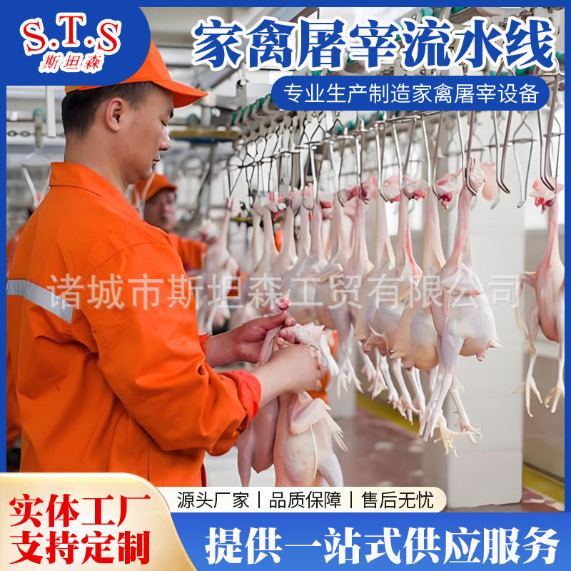 全自动鸡屠宰流水线设备 鸡鸭全自动屠宰设备厂家 家禽宰杀线