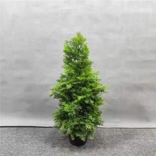 仿真松柏树仿真绿植罗汉松盆景柏树枝仿真假刺柏侧柏龙塔柏杉树