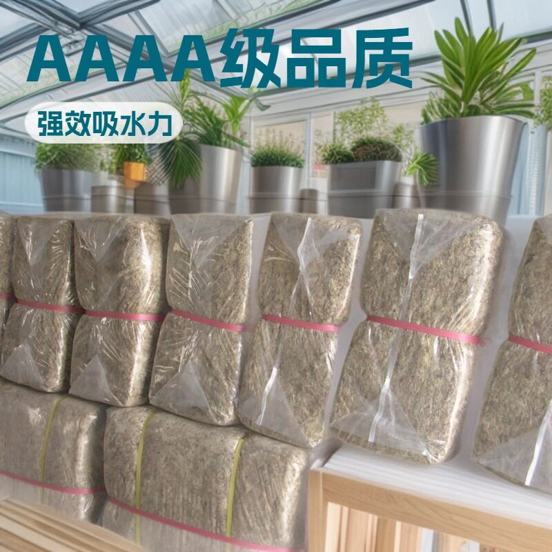 AAAA级水苔10KG蝴蝶兰铁皮石斛兰蓝莓园艺食虫草水草