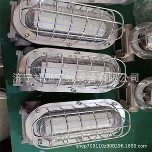 矿用隔爆型LED巷道灯DGS24 127L 127L矿用隔爆型LED巷道灯DGS40