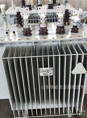 S11-M-315KVA三相10kv变400V油浸式高压电力变压器铜芯315KW/200