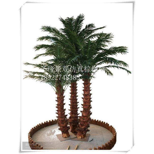 专业生产仿真棕榈树热带景观树户外大型玻璃钢杆假树棕榈树