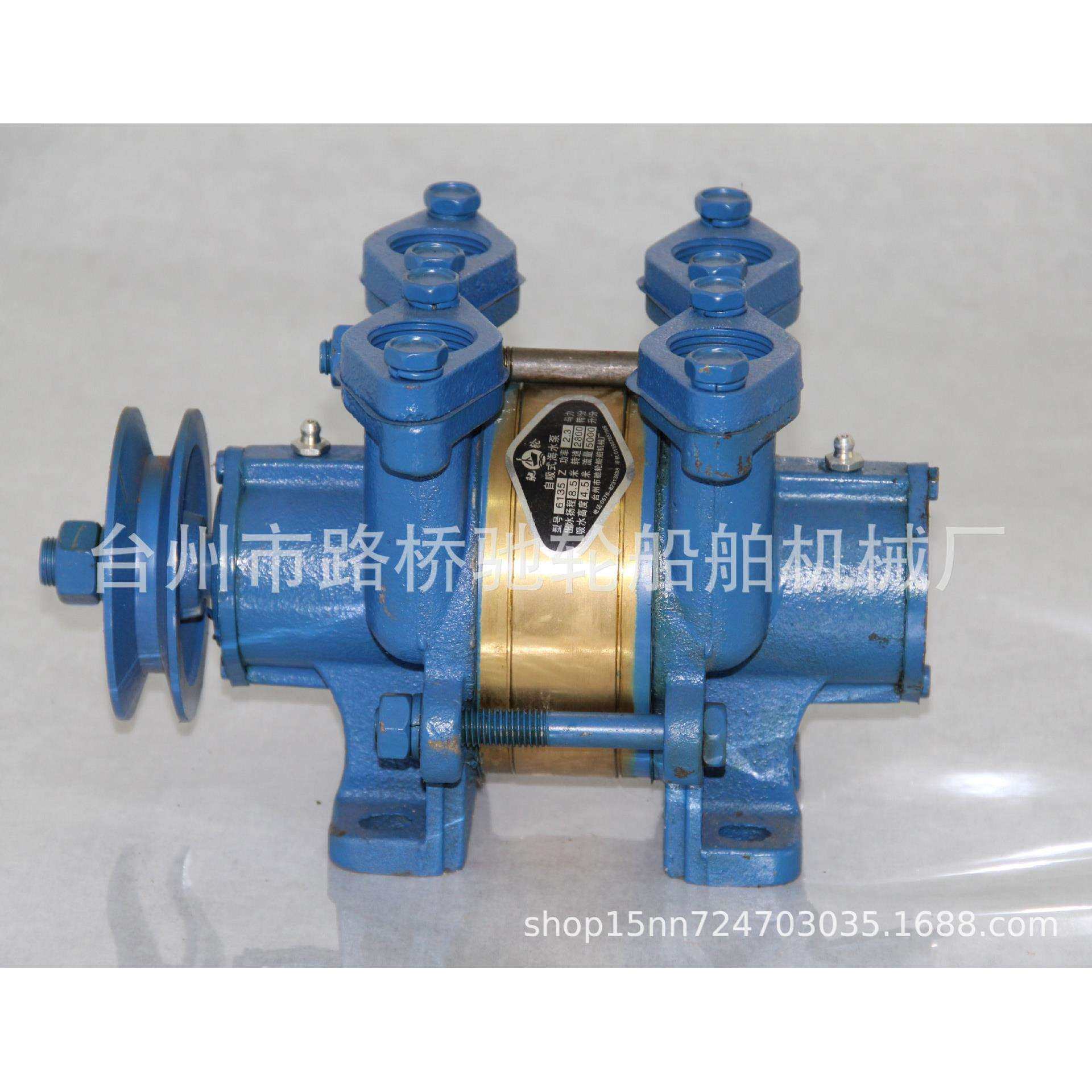 驰轮船舶船用水泵双龙海水泵