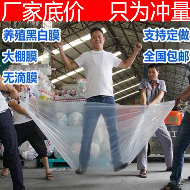 极速新塑料布加厚大棚膜透明防水防雨布防尘O塑料薄膜保温农用封