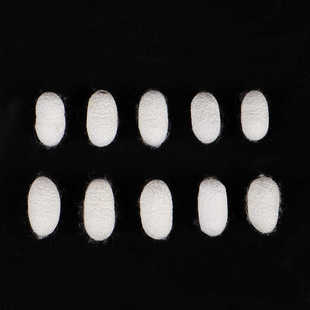 天然桑蚕茧烘干完整带蚕蛹金色黄金茧学生手工DIY蚕丝扇抽丝扇子