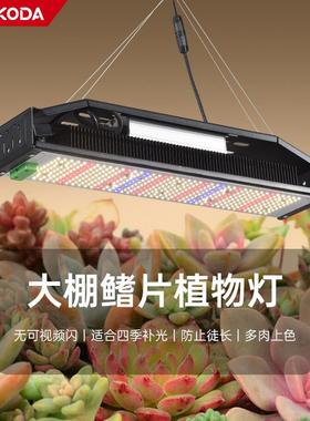 亚马逊 无极调光LED植物生长灯 240W鳍片植物补光灯 Grow light