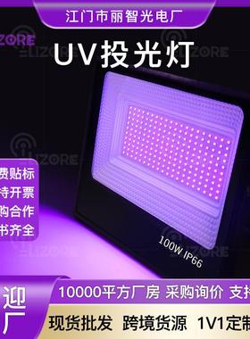 亚马逊 UV投光灯紫外线紫色 室内户外舞台排队防水跨境led泛光灯