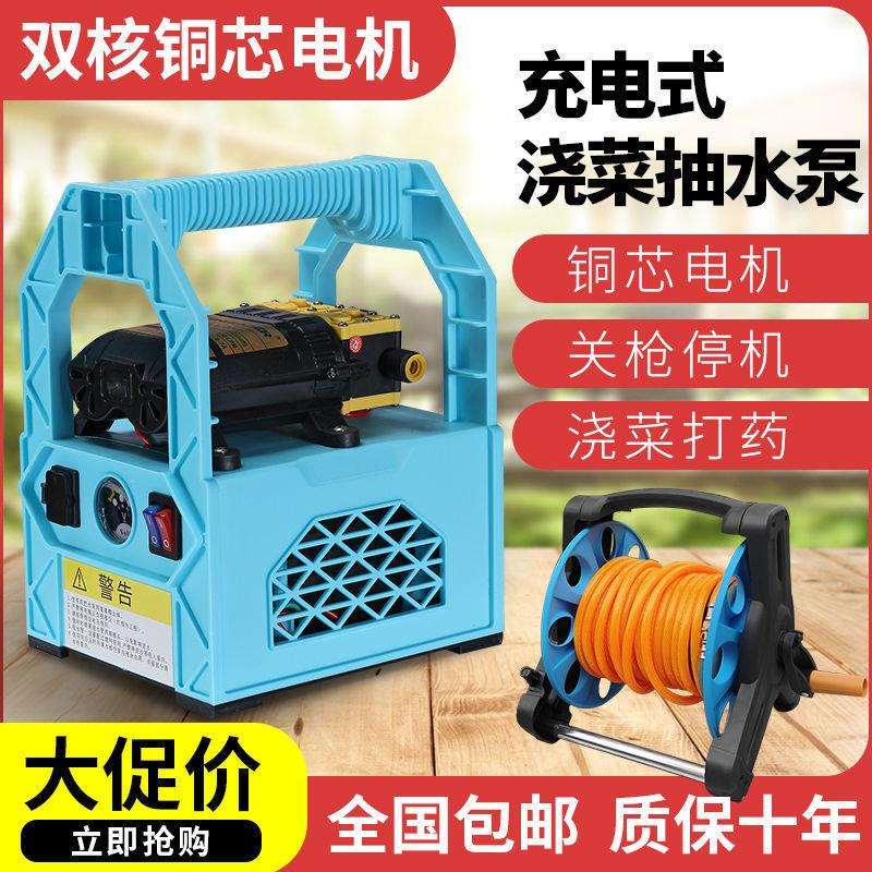 锂电小型充电式抽水泵农用灌溉浇水机浇菜神器菜园浇田地户外