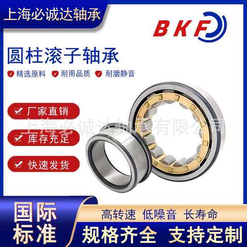 BKF圆柱滚子轴承N NJ NU NF NUP2311 2312 2313 2314 2315 2316EM