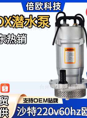 QDX潜水泵中东非洲热销沙特220v60hz欧规Submersible WaterPump