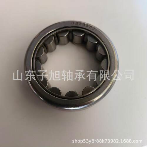 厂家直销DB83562非标轴承 滚柱轴承型号齐全 高端轴承 汽车轴承