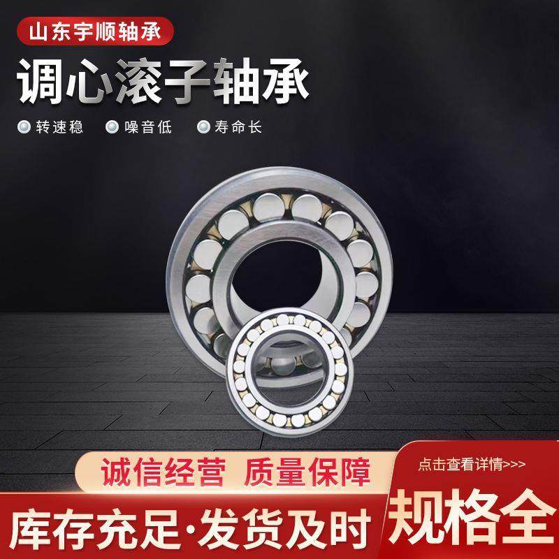 调心滚子轴承 BS2-2216-2CS/VT143