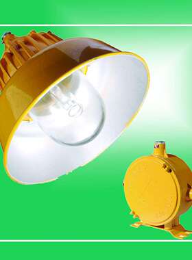 BPC8700防爆平台灯化工厂马路灯 通道路灯 弯杆防爆灯BPC8700