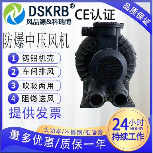 抽臭气隔爆旋涡高压鼓风机油气输送用风泵粉尘防爆风机