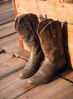 Palitutu头层牛皮西部牛仔靴女新疆蒙古旅游中筒靴草原粗跟靴子