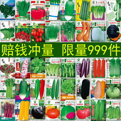 蔬菜种子四季播种盆栽阳台庭院