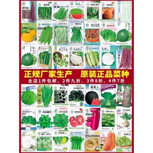 蔬菜种子香菜番茄辣椒菠菜黄瓜青菜籽生菜萝卜白菜四季 播种孑大全