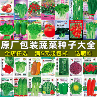 蔬菜种子四季播盆栽阳台种菜庭院生菜菠菜小葱香菜秋季菜籽孑大全