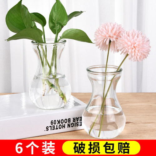 热销6个装风信子透明玻璃水培容器玻璃花盆M水培瓶插植物器皿养花