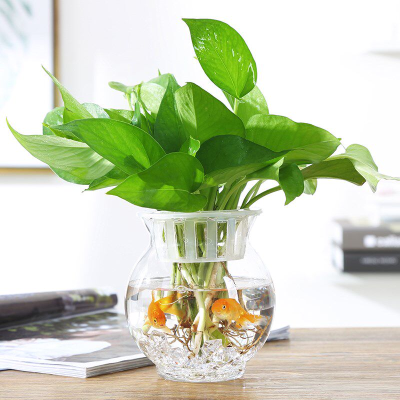 热销欧式简约透明玻o璃花瓶水培绿萝花盆鱼缸水养植物客厅摆件插