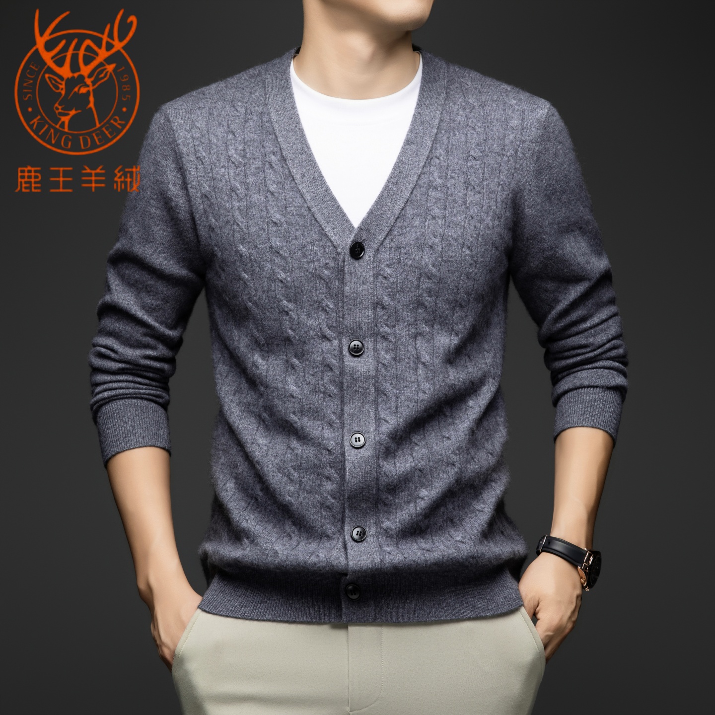 鹿王高端纯羊绒开衫男士V领冬季加厚保暖针织衫商务休闲毛衣外套