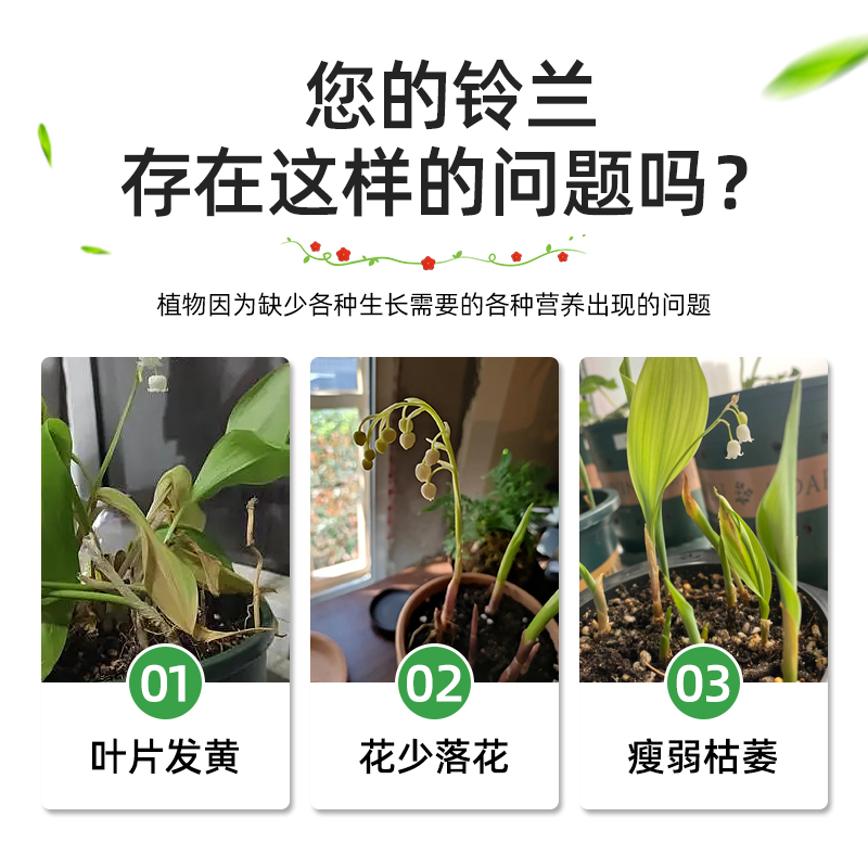 极速铃兰花肥料专用肥营s养液催花防止黄叶掉叶盆栽有机复合肥风