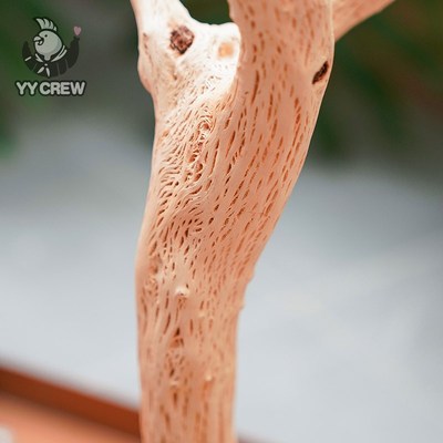 极速鹦鹦队鹦鹉野梨木实s木站架托盘站杆坚硬耐啃中小型鸟站立栖