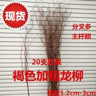 极速鲜枝龙条干枝鲜龙柳编制装饰手捧花J干花心形拱8门树枝柳枝婚