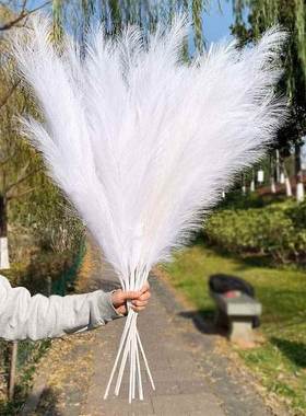 极速1Pec PYXArtificial Pampas Grass Hsom Room DecoiWr Simula