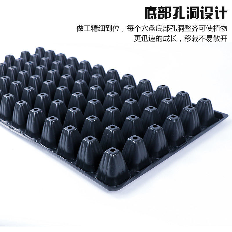 极速育苗盘西红柿辣椒穴盘苗木多肉叶插育苗N箱蔬菜苗托盘草莓苗