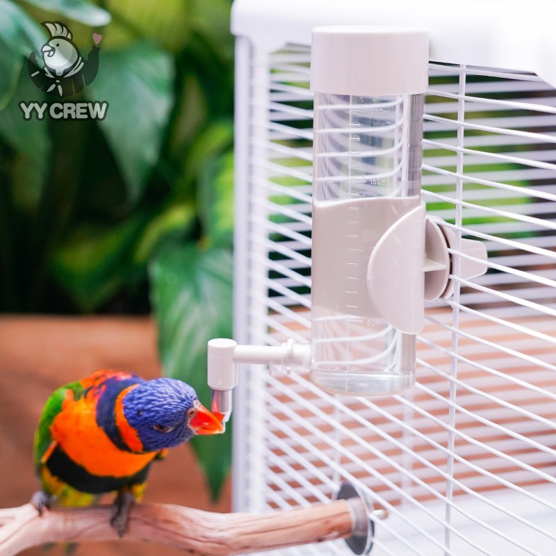 极速鹦鹦队 鹦鹉不锈钢撞针水壶自动喝水K罐牡丹虎皮饮水器鸟喂水