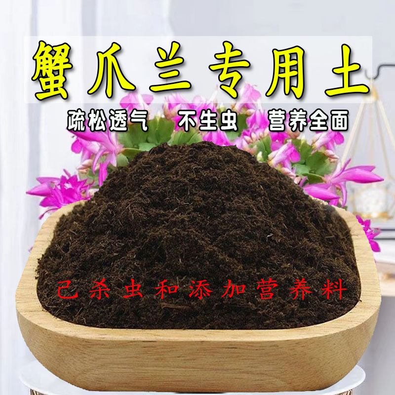 蟹爪兰专用土蟹爪兰专用营养土盆栽养花种植土壤肥料通用种花土培图片