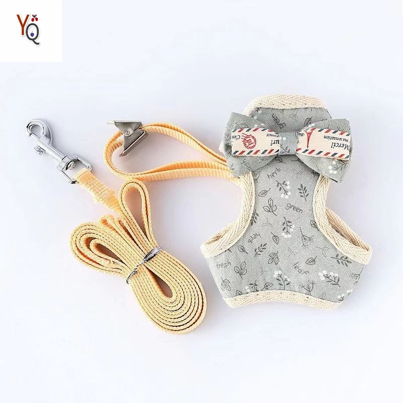 极速。小奶狗牵引绳茶杯犬吉娃娃幼犬C超小型犬遛狗绳1-4斤1-3月