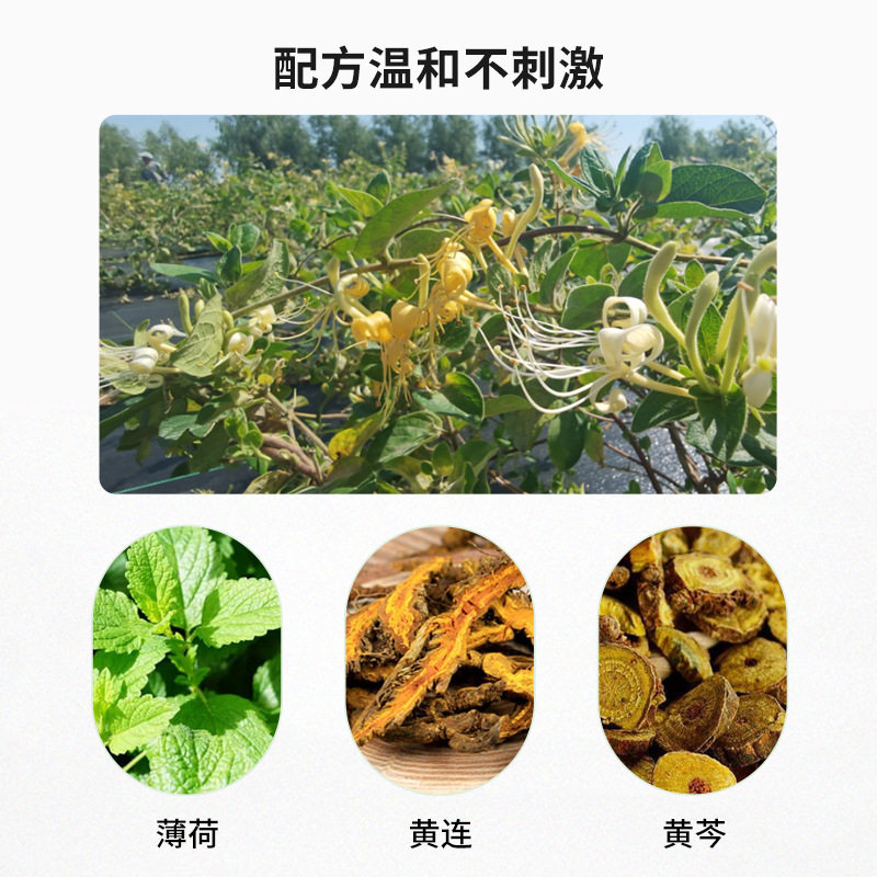 新品安恩盖森耳康耳鸣膏穴位保健贴布膏神经性P耳背听力耳朵嗡嗡