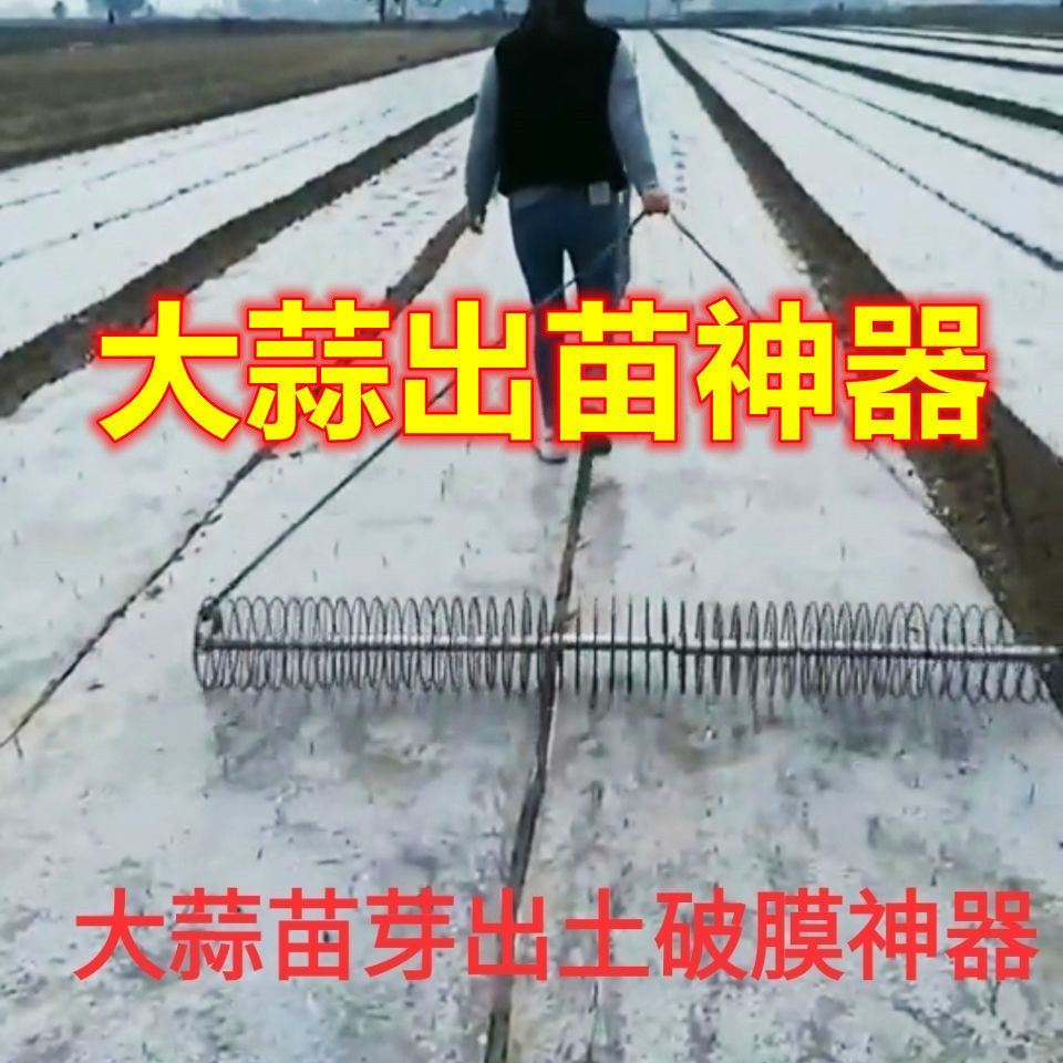 极速大蒜出苗器大蒜苗芽破膜助力工具铁环圆环种大蒜工Z具出苗神