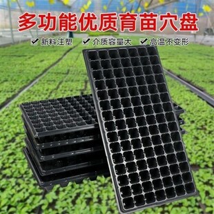 极速扦插育苗神器玉米秧盘辣椒多肉蔬菜西瓜营Q养钵育苗盘穴盘大
