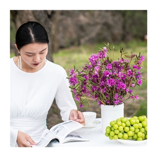 极速大兴b安岭组培繁育杜鹃花干枝映山红达达香遇水开花新鲜