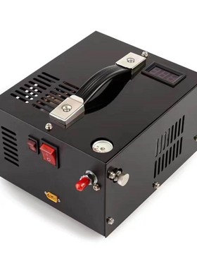 极速风冷高压打气机i车载12V电动高压打气泵30mpSa小型压缩机超小