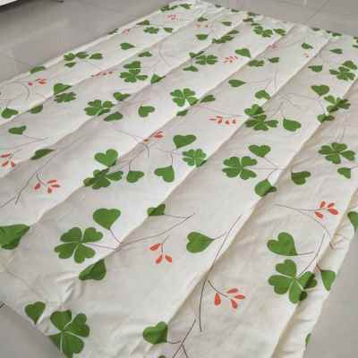 极速新品垫背床褥子l双人18床垫1米2垫絮15单人一五5八8棉絮垫被