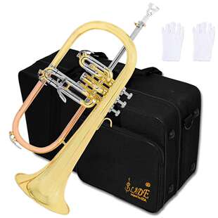 SLADE富鲁格号降B调磷铜管三立键福鲁格小号成人乐团Flugelhorn