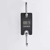 批发迷你电子吊秤300kgSF912电子吊钩秤跨境电商电子挂磅秤工业吊