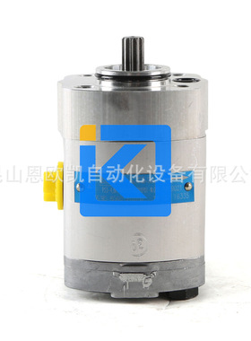 JIHOSTROJ捷克 齿轮泵P23-4.8L-A03D01-CG02P01-N.010（1879021）