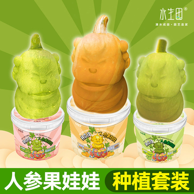 速发人参果娃罐儿童种植小盆栽人形果黄瓜芦瓜葫南娃头植物观察种