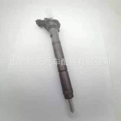 共轨喷油器 0445116018 压电喷油器 33800--2F000 33800-2f000