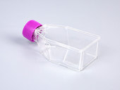 Bioland贝兰伯CCB06系列TC处理细胞培养瓶贴壁 25c㎡75c㎡175c㎡