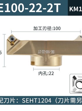 SE桥式2刃铣刀盘 一体/微调铜铝高光镜面用平面铣AP1604/1204刀片