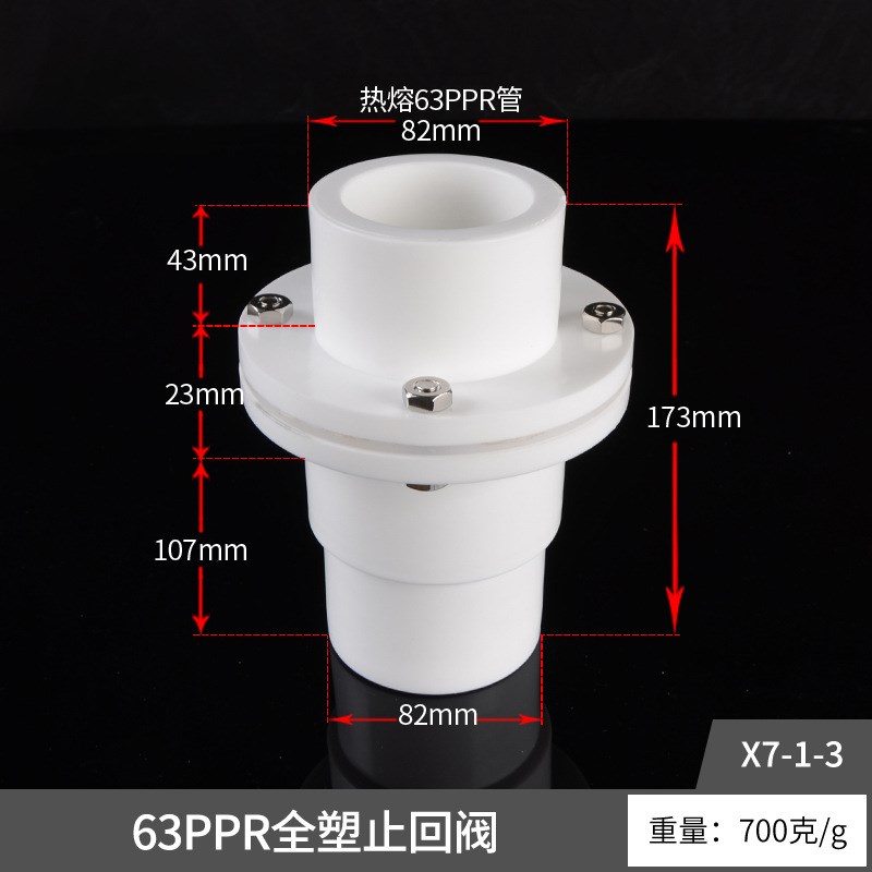 20PPR立式止回阀25热熔单向阀32活接逆止阀50/63水管塑料接头配件