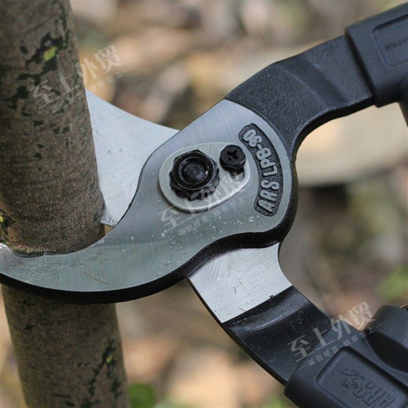 日本进口粗枝大力剪刀爱丽斯ARS LPB-30L双臂长手柄长把剪粗枝剪,工业油品/胶粘/化学/实验室用品,实验室漏斗,淘宝优惠券,粉丝福利购,淘宝优惠卷