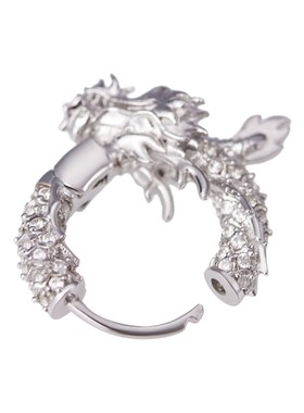 APORRO 龙1系列龙圈耳环925银锆石设计小众高级感耳饰 礼物男女